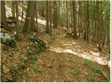 Globasnica / Globasnitz - Veška planina / Wackendorfer Alm